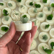 Segnaposto profumatore botanico