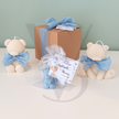 Mini Teddy