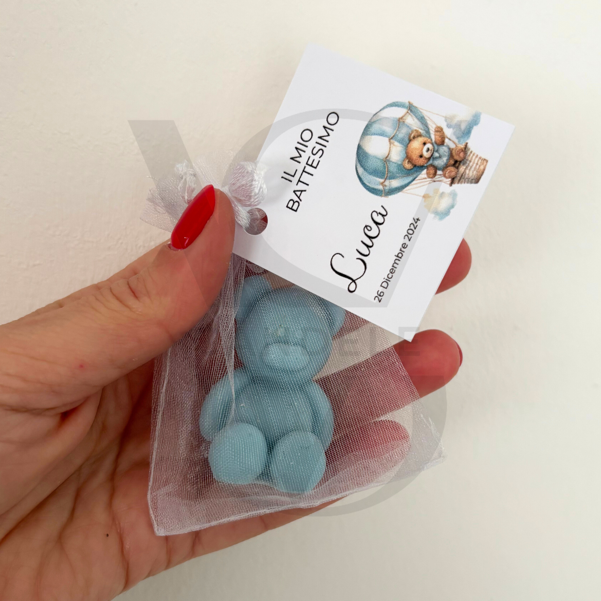 Mini Teddy