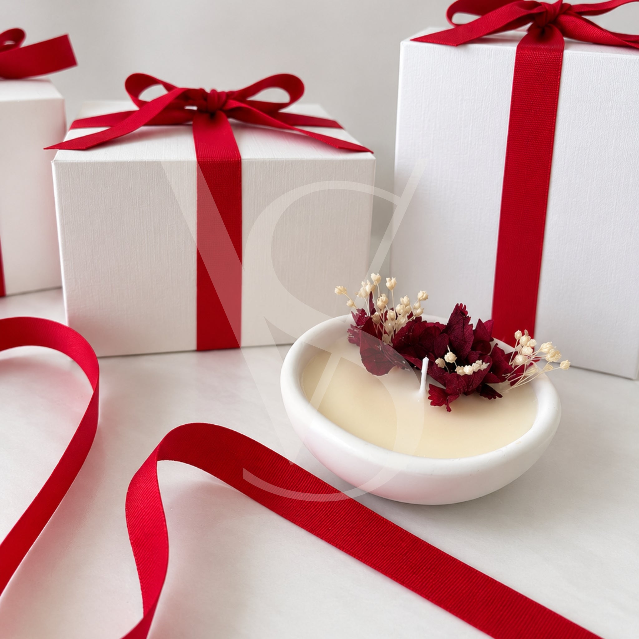 Ortensia - Edizione Natale