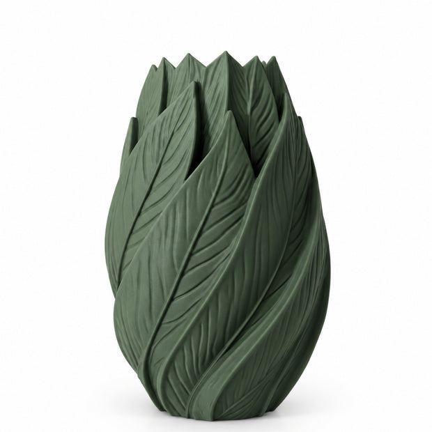 vaso pla foglie verde